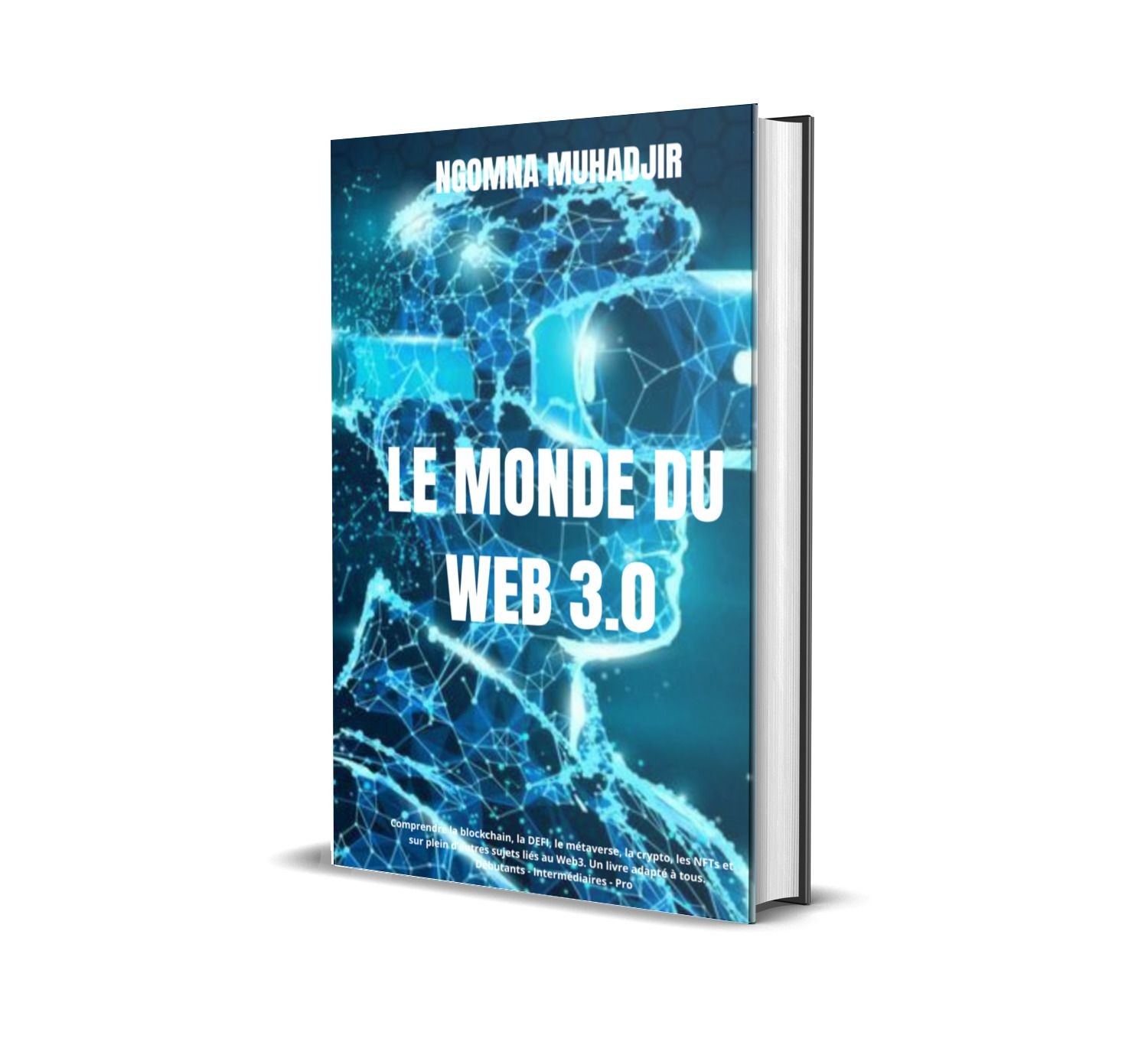 LE MONDE DU WEB3.0
